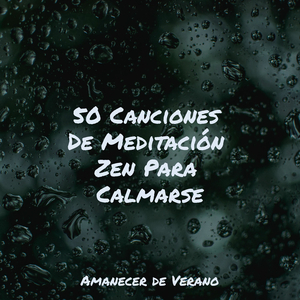 Baile frágil de los árboles