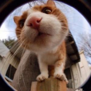 不要去打扰不愿理你的人