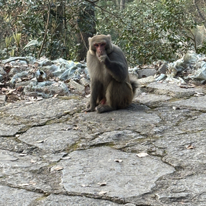 密谋一场叫作白头的出走