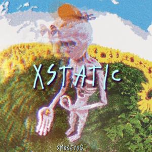 XSTACY (feat. dmgbillz)