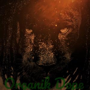 Fresh Donuts (RIP J Dilla)