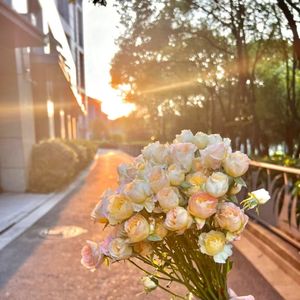 从此我遇人不动心