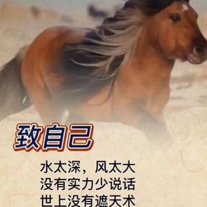 Rise - Epic Music（小提琴）