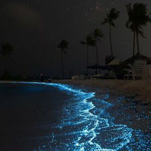 委屈#百万奖金AI创作大赛+主题二