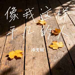 像我这样平凡的人