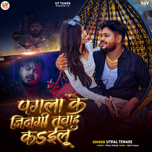 Pagla Ke Jindgi Tabah Kailu