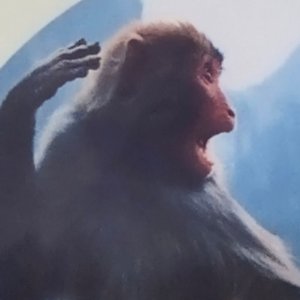 其实不止一点想你