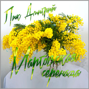Мартовская серенада