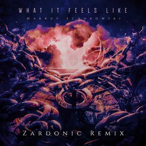 What It Feels Like (Zardonic Remix)