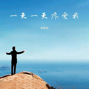 一天一天疼爱我