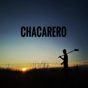 Chacarero soy