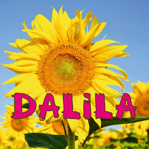 Dalila