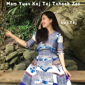 Mam Yuav Koj Tej Txheeb Zes