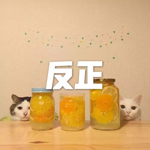 越伤越爱 (DJ舞曲版)