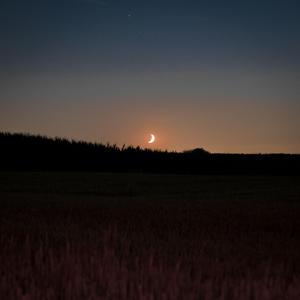 aşkım deyi çıkta gel (morning ambient edit.. kinda)