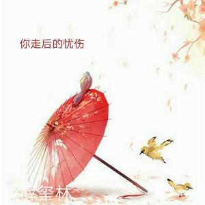 你走后的忧伤
