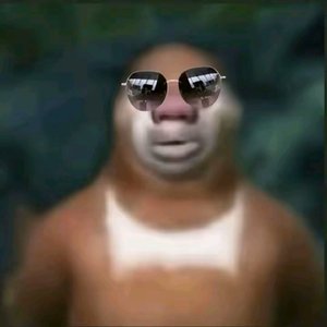 习惯没有你的习惯