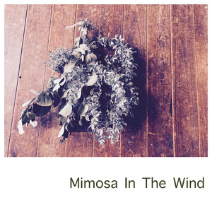 Mimosa ln The Wind