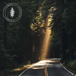 Sun Dappled Forest (Instrumental Version)