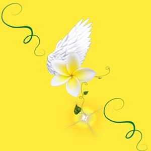 ASHANTI ASHANTAY OHEEMA ( Malcolm X 1962 SPEECH EDITION )