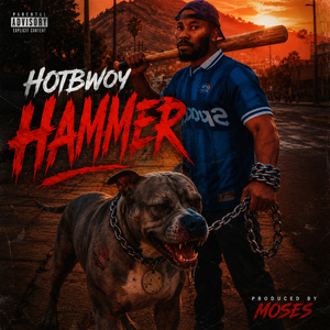 Hammer