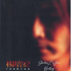 杨培安-我相信(ShadowZiYun Bootleg)