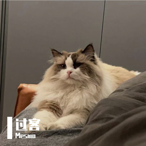 过客 Prod. MoDi_dx1