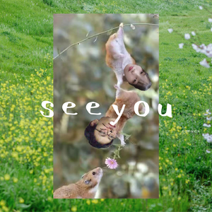 see you