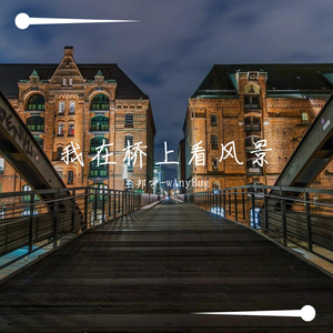 我在桥上看风景