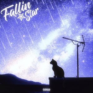 星雨夜FallinStar