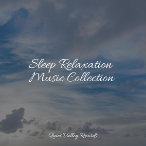 Music for Deep Sleep