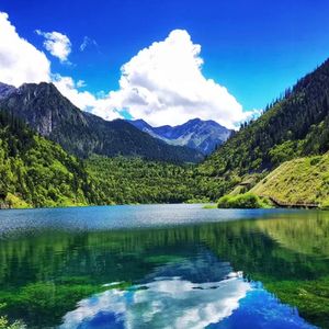 你的酒馆对我打了烊