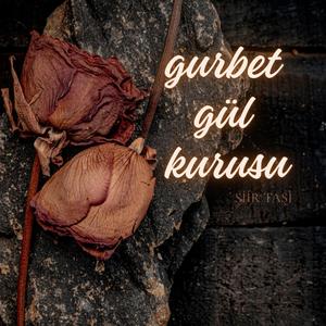 Gurbet Gül Kurusu