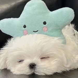 朴树-平凡之路（remix）