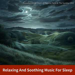 Dreamscape Velvet Voyage