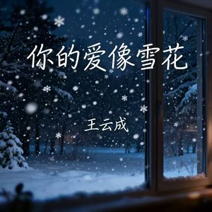 你的爱像雪花