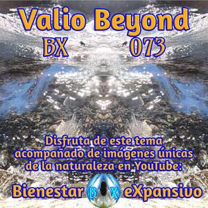 BX 073 Capas de Realidad
