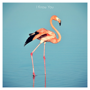 Beyond Fields of Green Grass