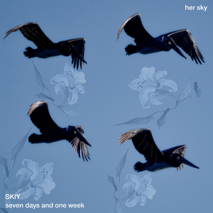 Seven Days and One Week