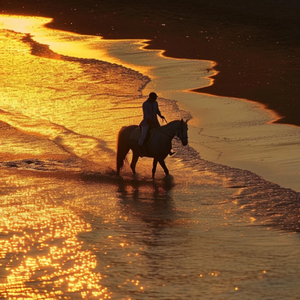 夕阳晚风路小雨