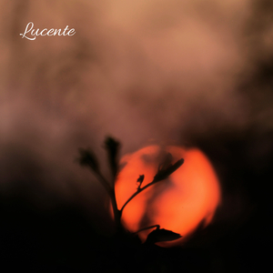 Lucente