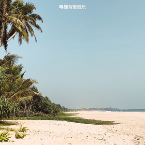 办公事务雅观的爵士