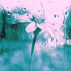 诗意的专注节奏