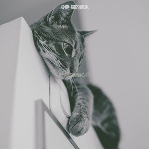 抚慰的压力大的猫回忆