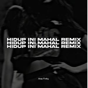 Hidup Ini Mahal (Remix)