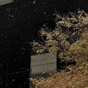 眼泪落下之前（1.1x）