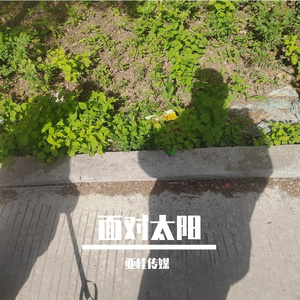 面对太阳