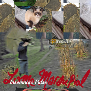 Setting (Extended Version)