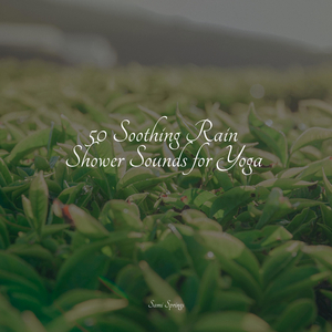 Trailside Avian Calls