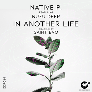 In Another Life (Saint Evo Remix)